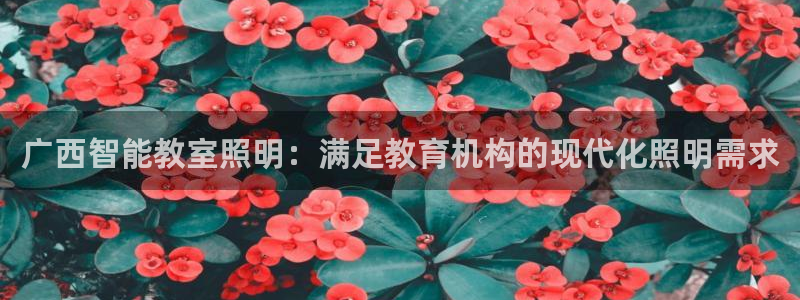 云顶电子游戏网站