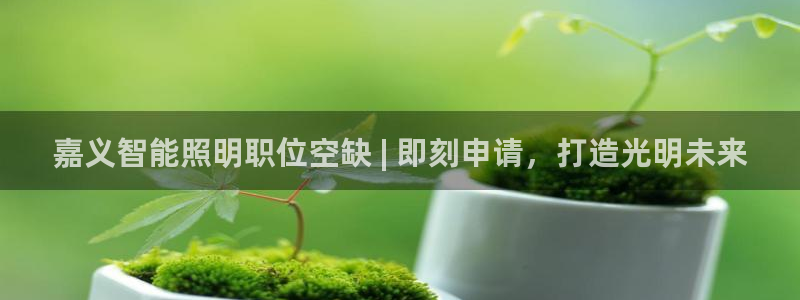 云顶官方下载