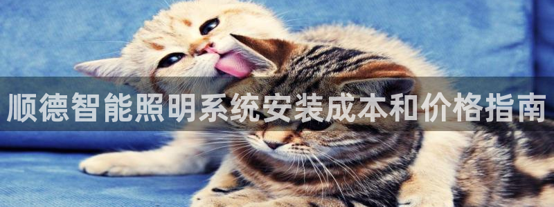 云顶国际nba智库