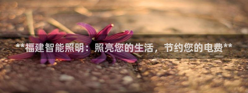 云顶国际软装公司怎么样啊