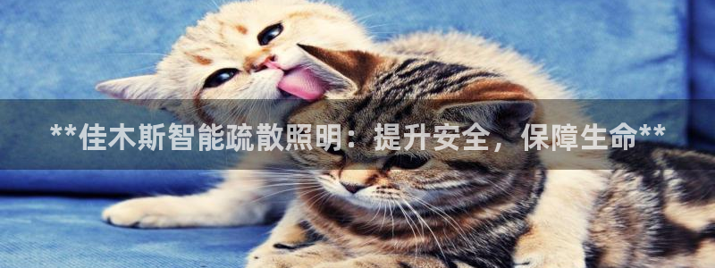 云顶国际A405