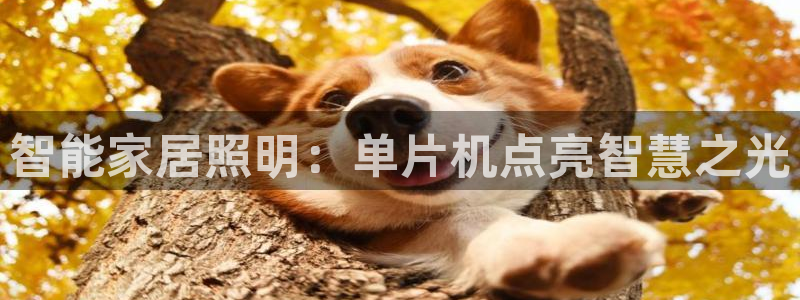 太原云顶国际老板