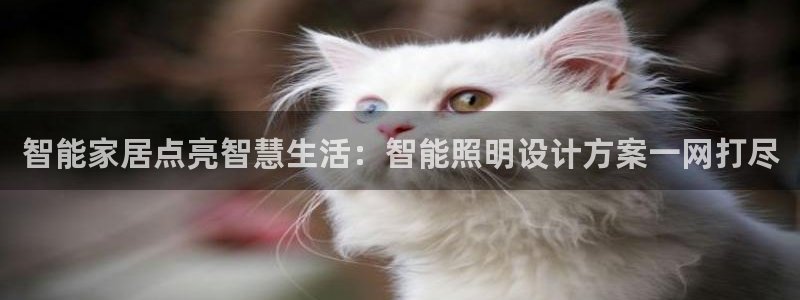 云顶国际大厦
