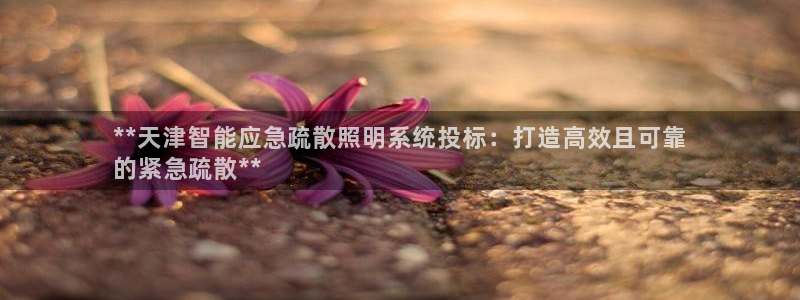 国际服端游云顶在哪下载