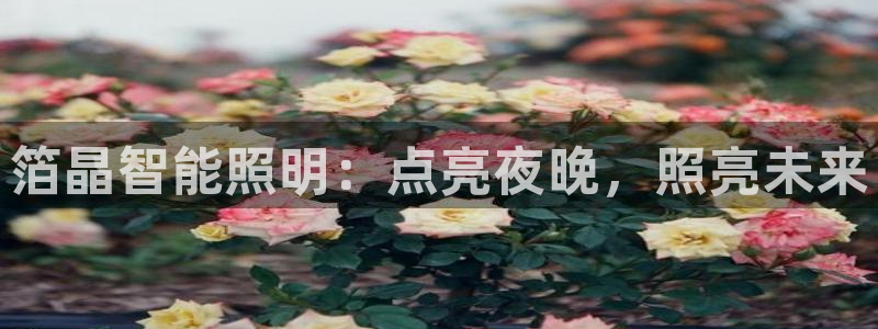 云顶国际创始人是谁