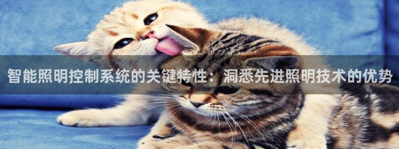 云顶国际商业广场商户