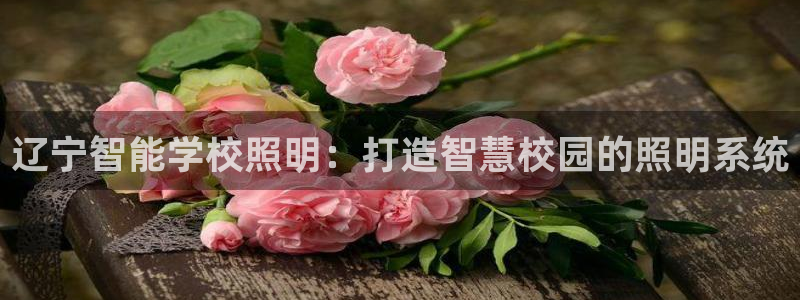 云顶集团游戏app苹果版