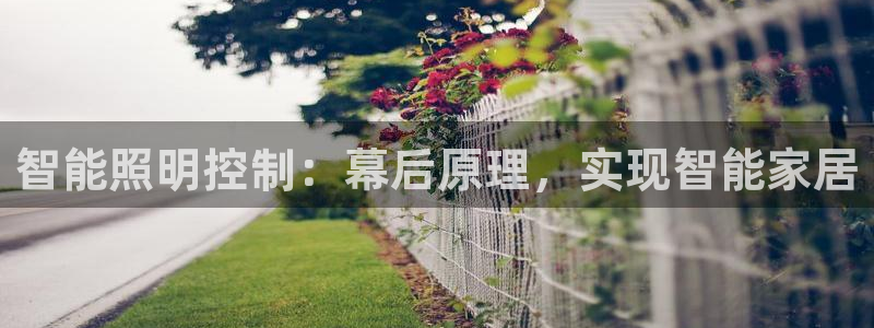 云顶集团有限公司简介地址