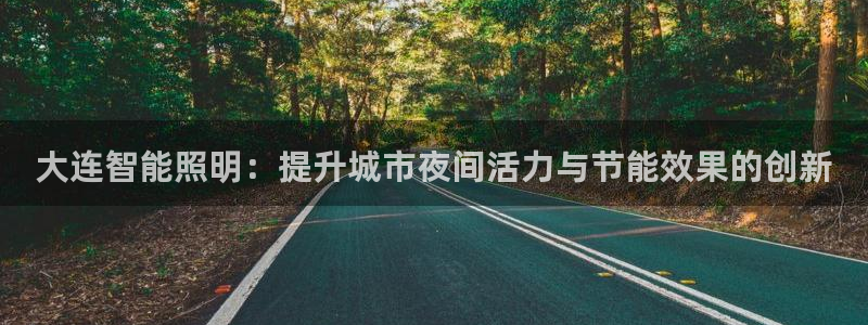 云顶国际app免费下载安卓：大连智能照明