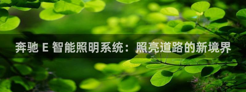 云顶国际提现不到账怎么办