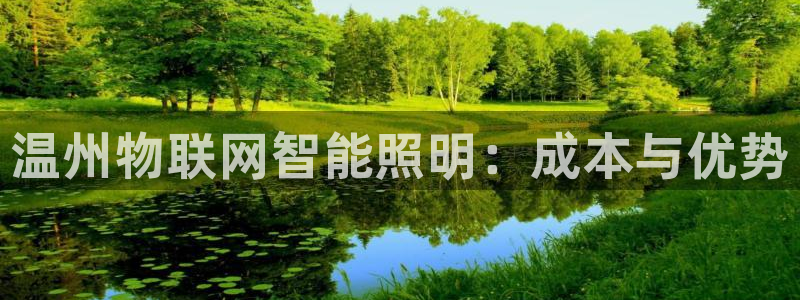 云顶国际电子游戏怎么玩